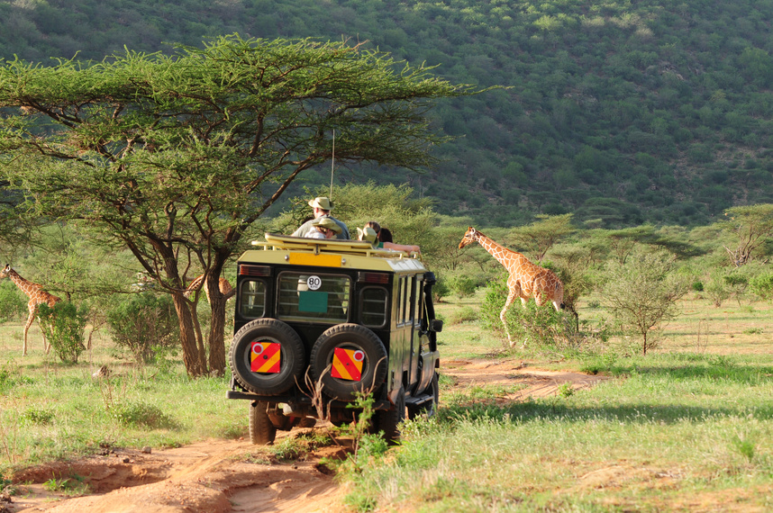Safari in Kenya