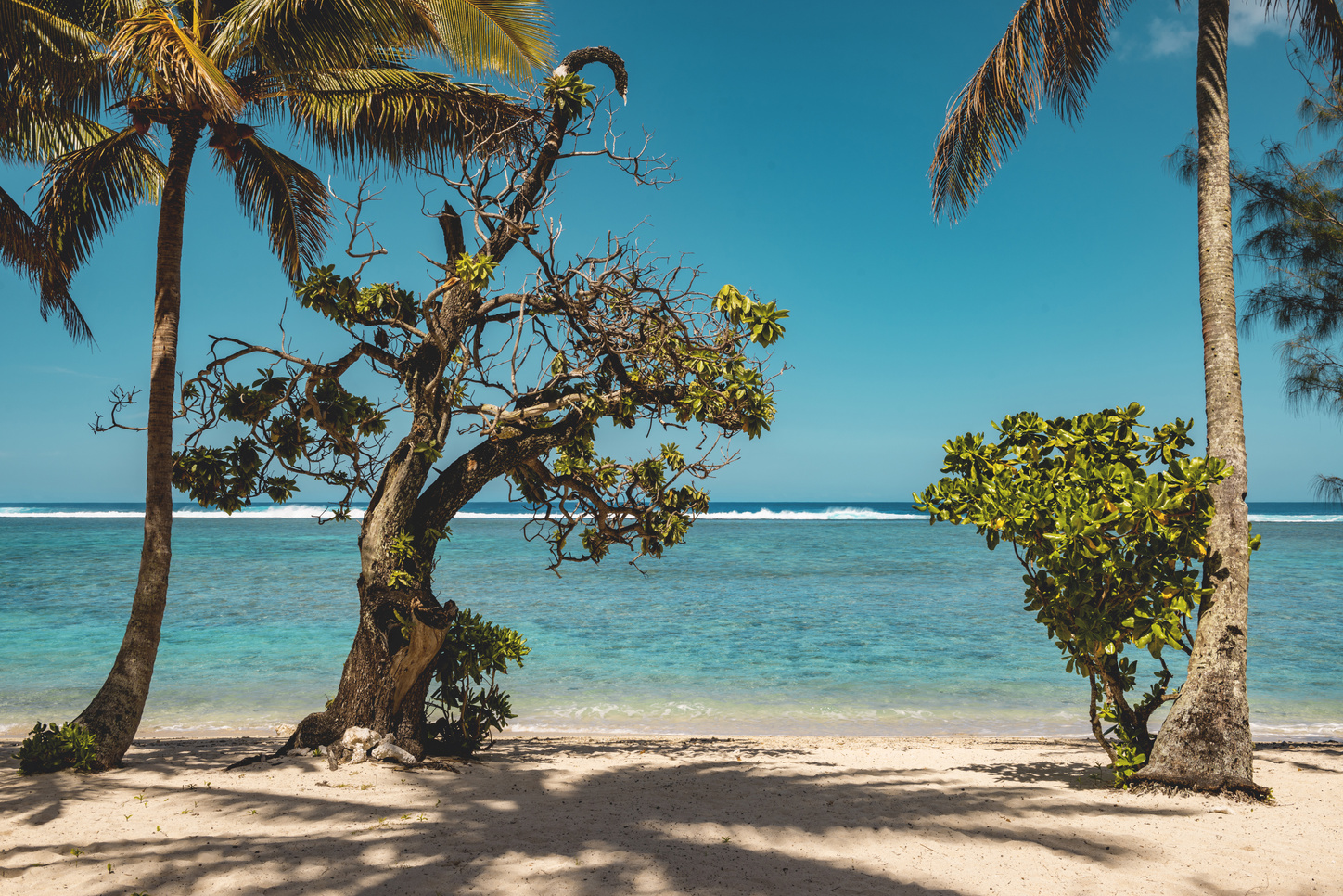 Rarotonga, Cook Islands